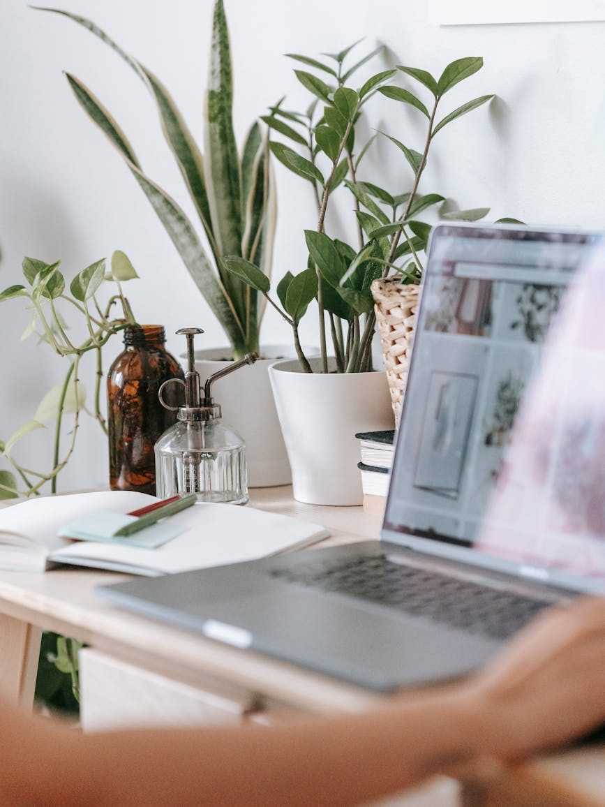 person working at table with modern laptop and green plants